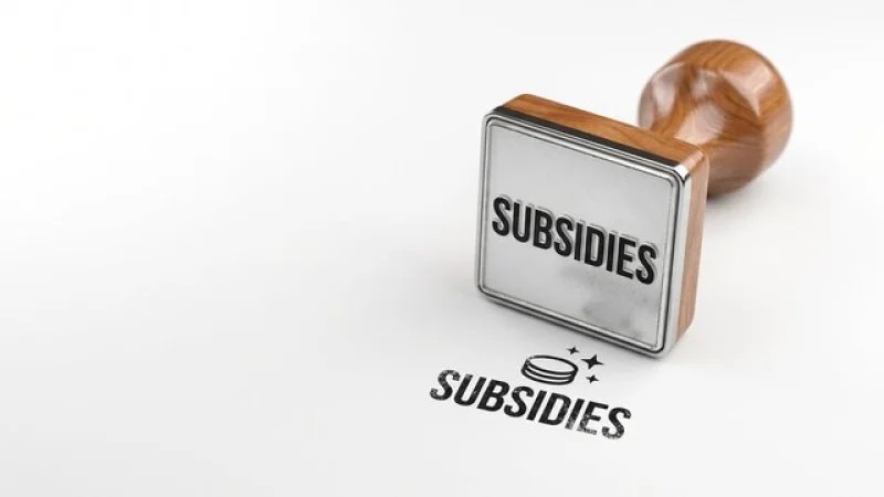 Subsidies must reach the poor