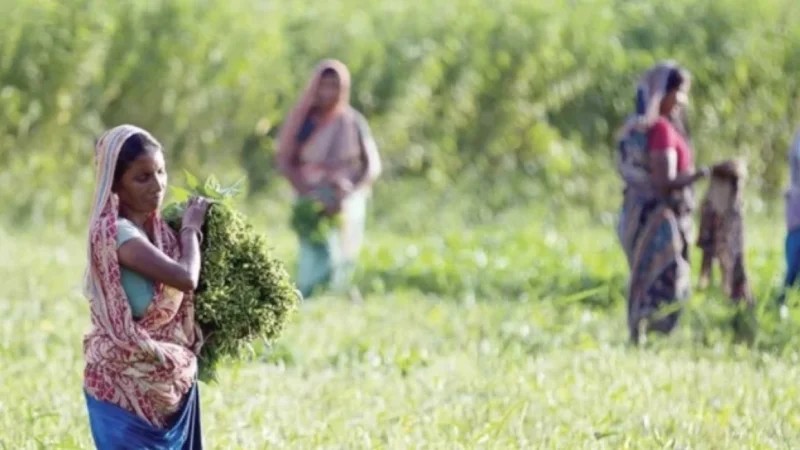 Rural Women Have Shaped Our Country