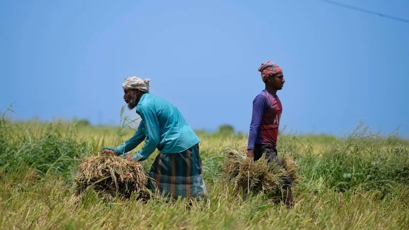 IRRI, Govt Move to Strengthen Methane Emissions