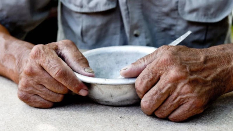 World Bank Food Security Warnings Demand